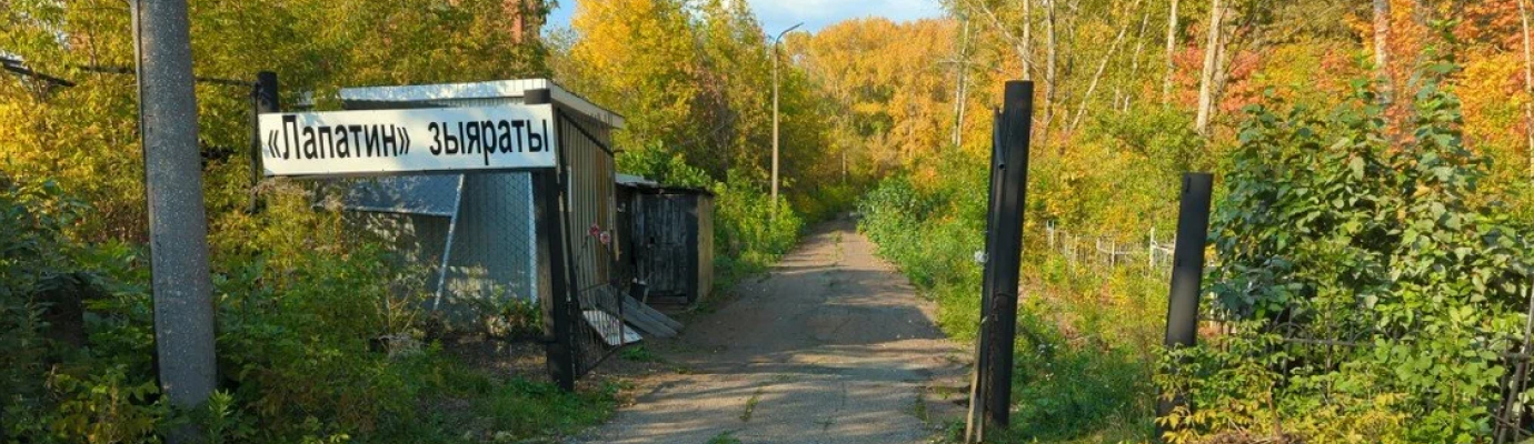 Лопатинское кладбище